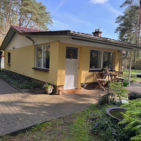 Ferienhaus Im Wald Borkwalde Eksteriør bilde