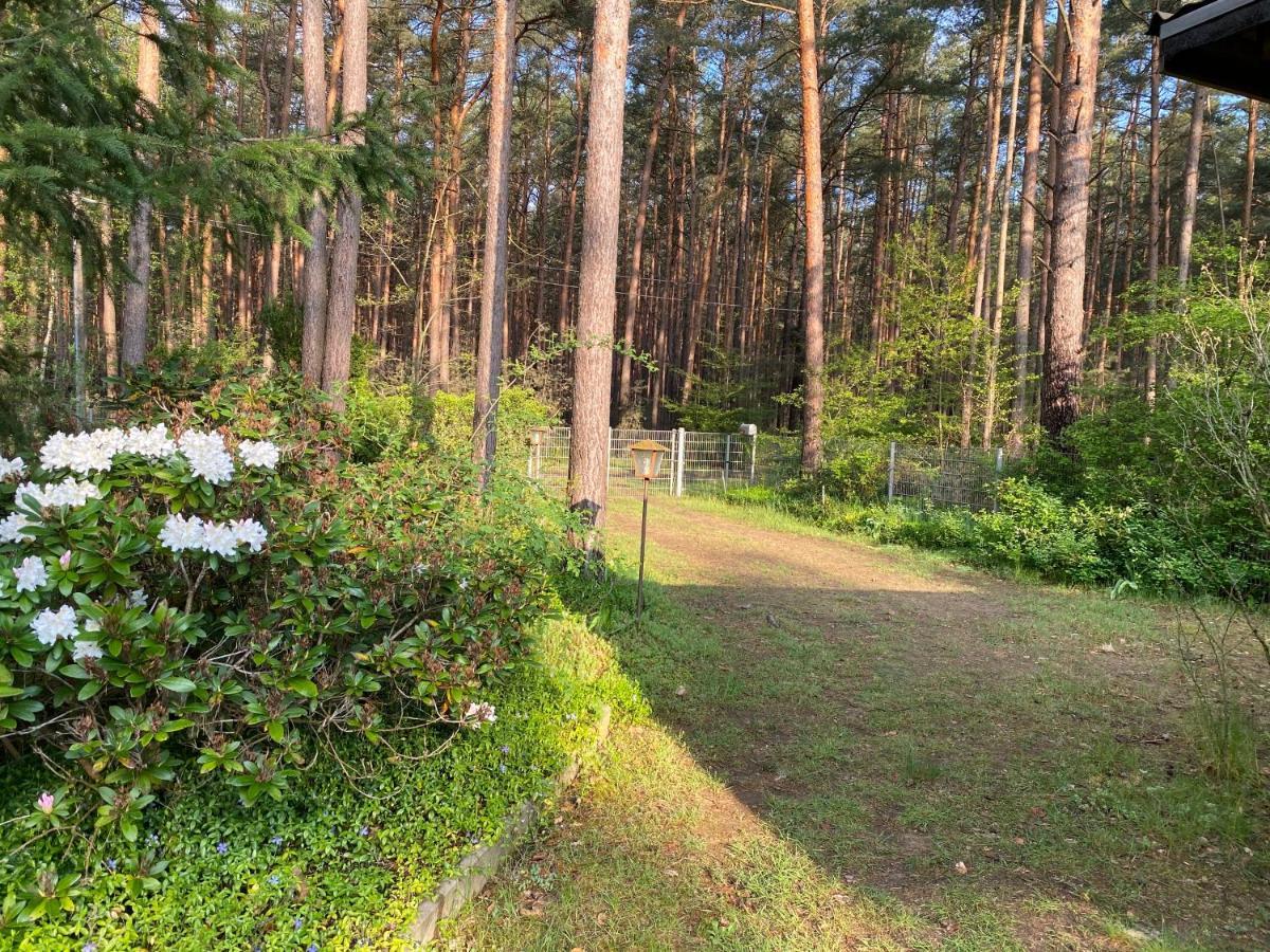 Ferienhaus Im Wald Borkwalde Eksteriør bilde