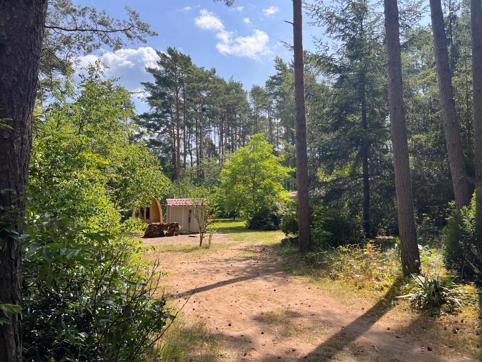 Ferienhaus Im Wald Borkwalde Eksteriør bilde