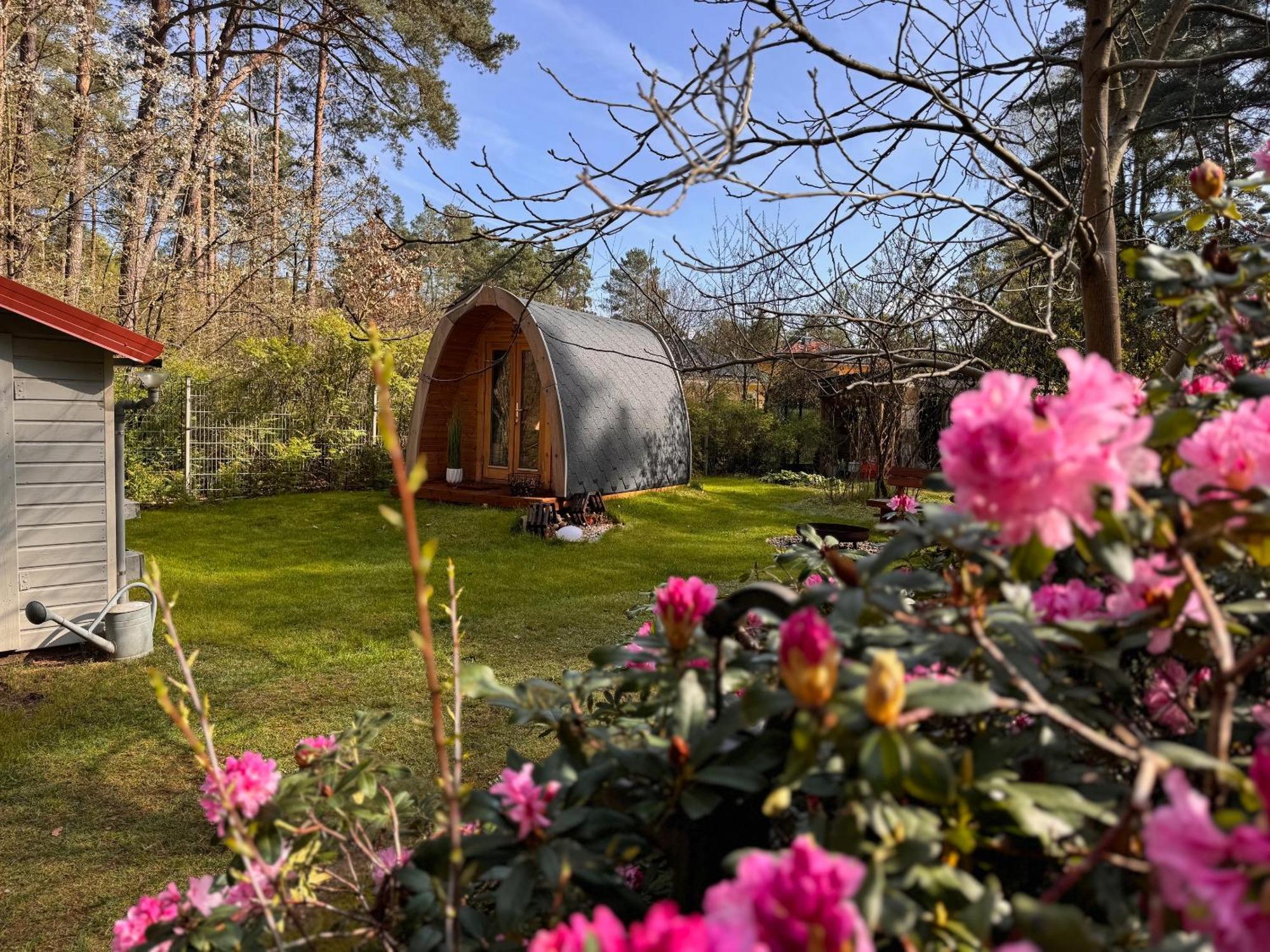 Ferienhaus Im Wald Borkwalde Eksteriør bilde